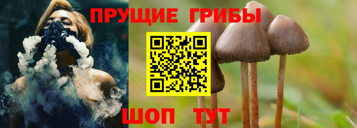 Междуреченск  Галлюциногенные грибы Psilocybe  где купить наркоту  Вход с VPN 